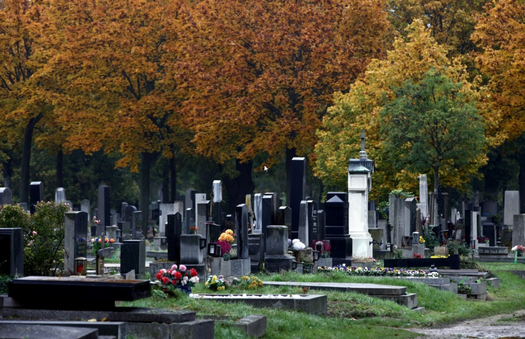 Nghĩa trang đẹp nhất Châu Âu vào mùa thu - Ảnh 2