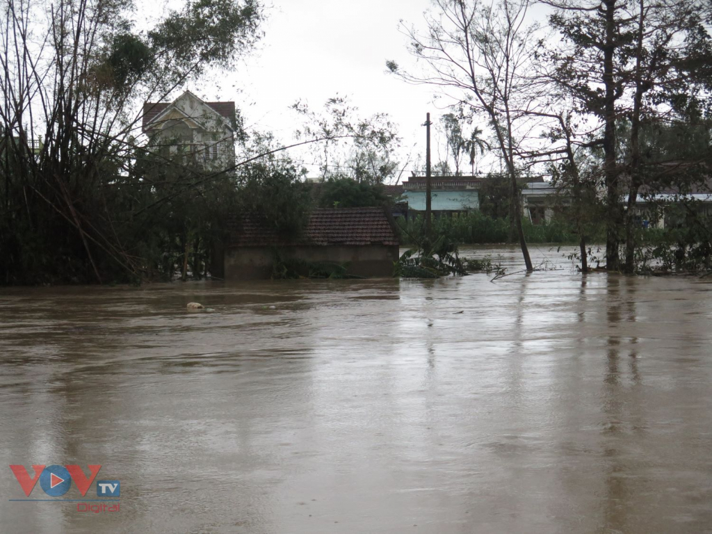 Quảng Ngãi: Mưa to, khẩn cấp di dời dân vùng ngập lụt, sạt lở - Ảnh 3.