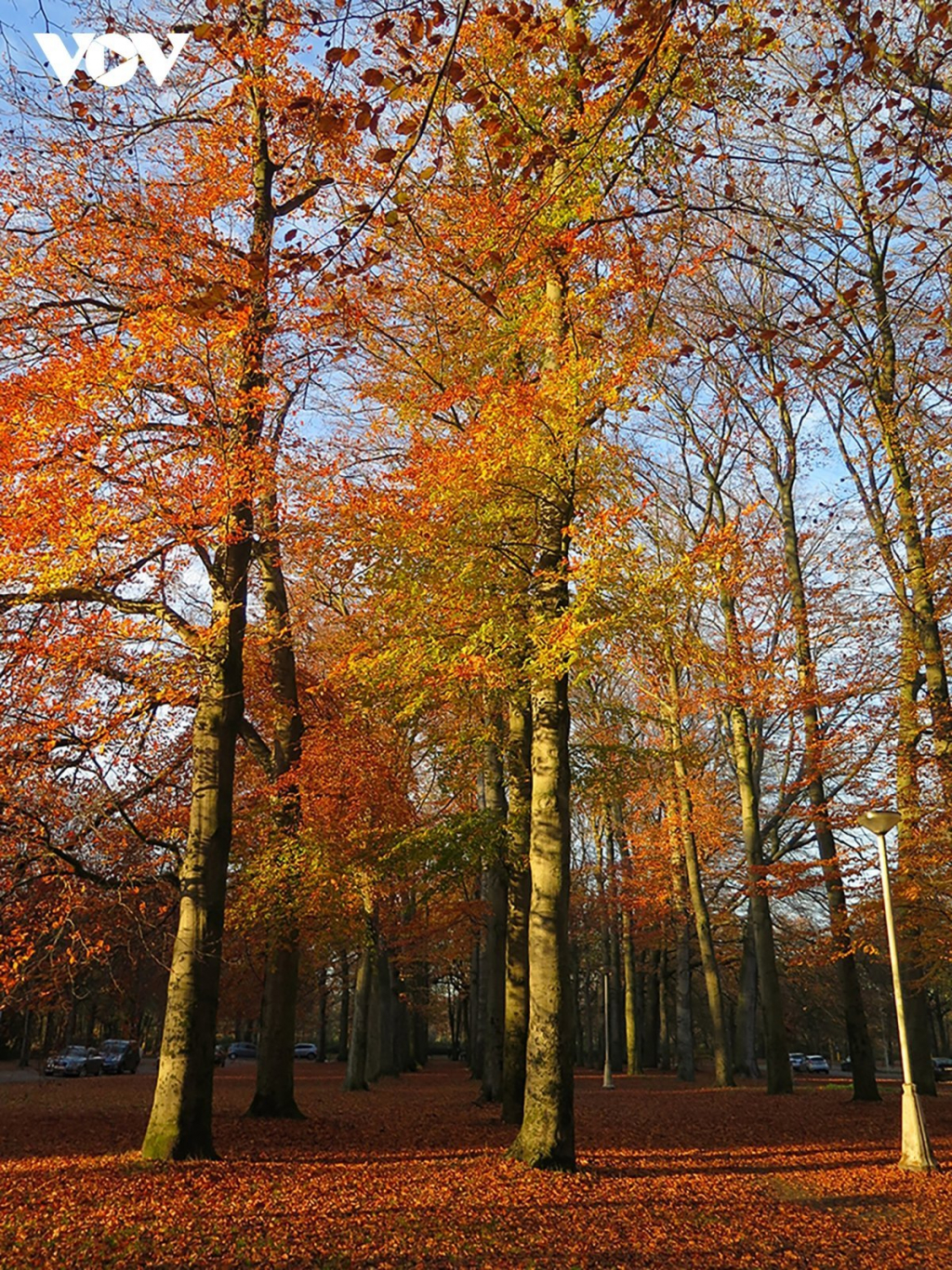 Chiêm ngưỡng phong cảnh mùa thu hữu tình tại Bỉ