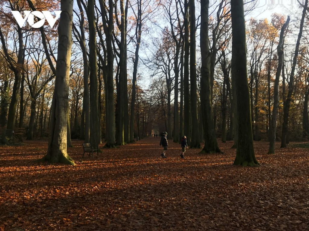 Chiêm ngưỡng phong cảnh mùa thu hữu tình tại Bỉ - Ảnh 4.