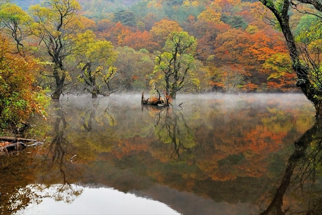 Khám phá 7 kho báu tự nhiên của tỉnh Gyeongsangbuk, Hàn Quốc - Ảnh 4.