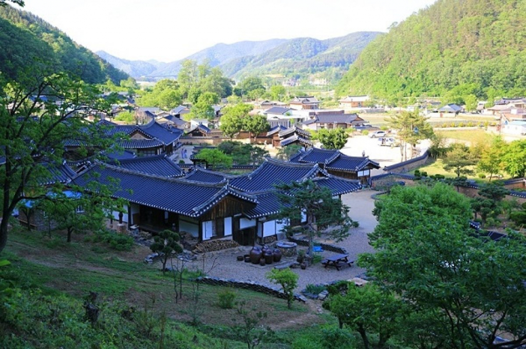 Khám phá 7 kho báu tự nhiên của tỉnh Gyeongsangbuk, Hàn Quốc - Ảnh 7.