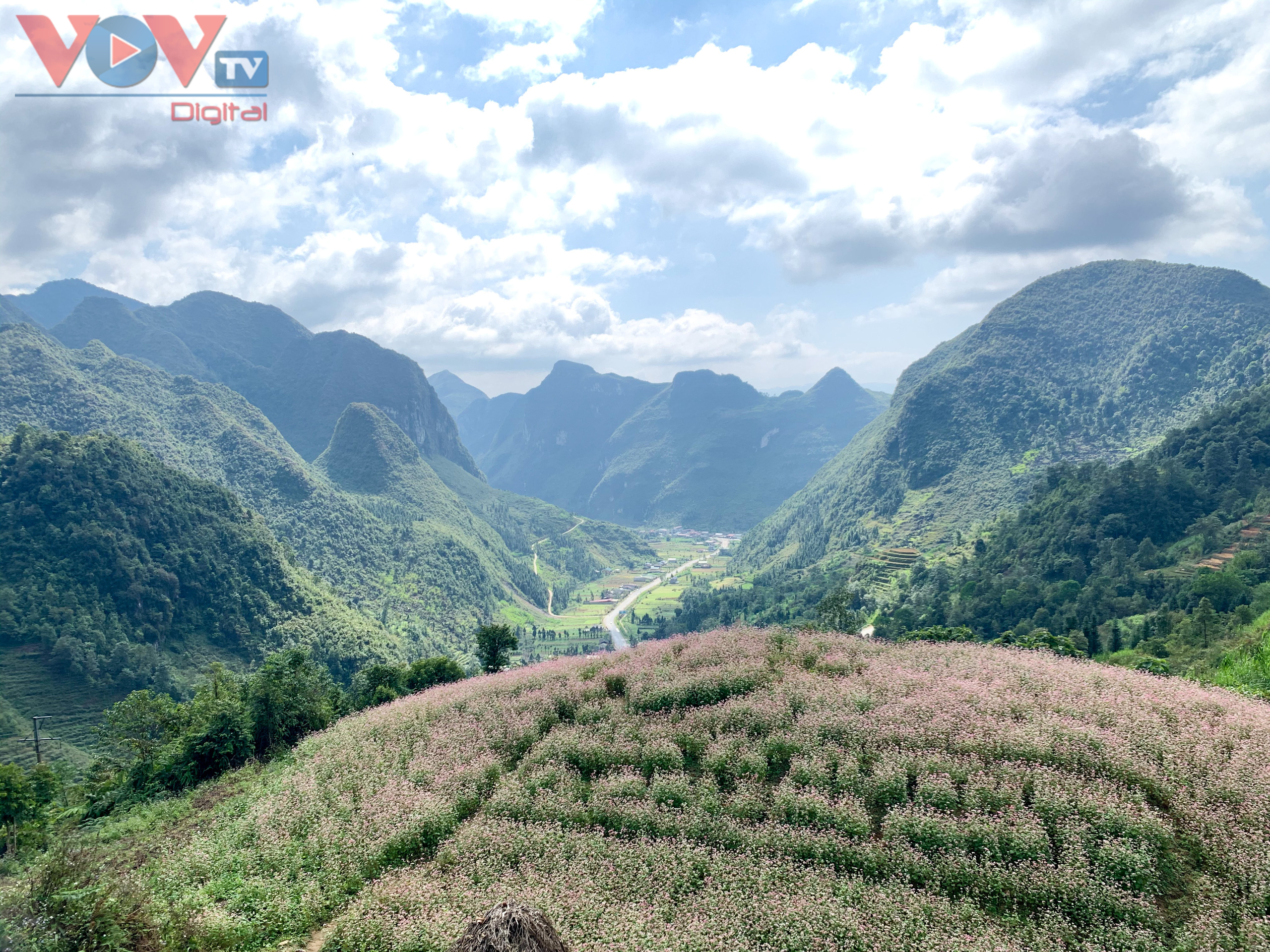 Khám phá vẻ đẹp Hà Giang vào mùa hoa tam giác mạch - Ảnh 4.