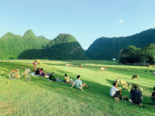 Cần gì sang Thụy Sĩ như Hyun Bin, Việt Nam có cánh đồng thảo nguyên xanh ‘hạ cánh’ tuyệt đẹp - Ảnh 3.