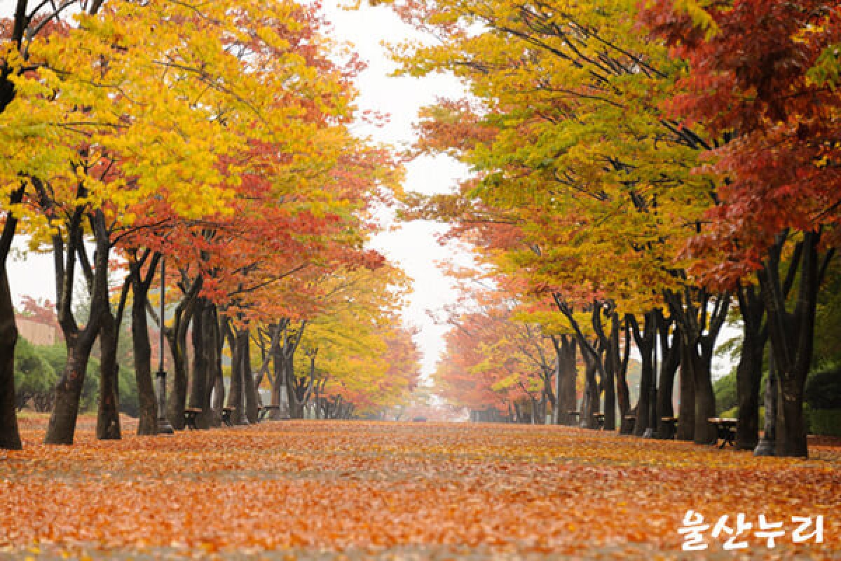 10 địa điểm nên ghé thăm khi đến thành phố Ulsan, Hàn Quốc - Ảnh 2.