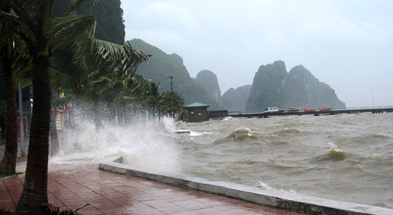 Các tỉnh Đà Nẵng đến Bình Thuận chủ động ứng phó áp thấp nhiệt đới - Ảnh 1.