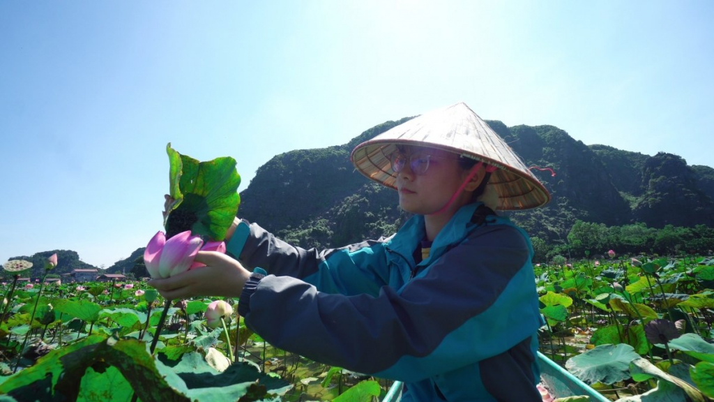 Du khách thích thú với trà, ẩm thực từ sen tươi giữa mùa Thu ở Ninh Bình - Ảnh 2.