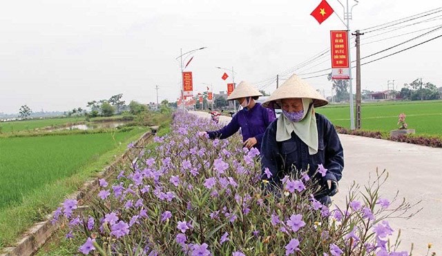 Hội đồng thẩm định Trung ương đề xuất Thủ tướng công nhận Hà Nam hoàn thành nhiệm vụ xây dựng Nông thôn mới năm 2020 - Ảnh 2.