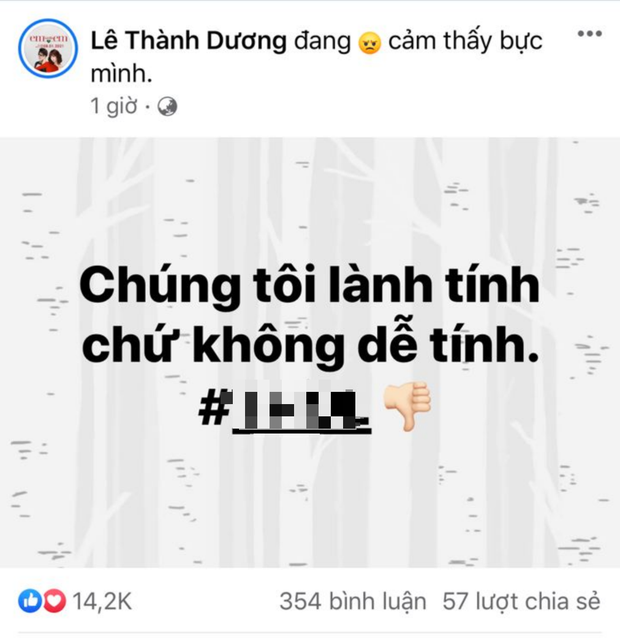 &quot;Câu like&quot; từ đám tang nghệ sĩ Chí Tài, dàn sao Việt đồng loạt phẫn nộ - Ảnh 4.