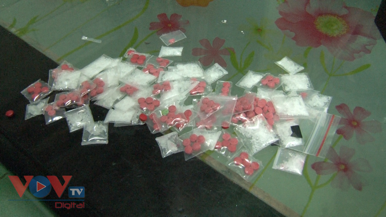 Thừa Thiên Huế: Phá chuyên án thu giữ hơn 2.000 viên hồng phiến và khoảng 0,5kg ma túy đá - Ảnh 1.