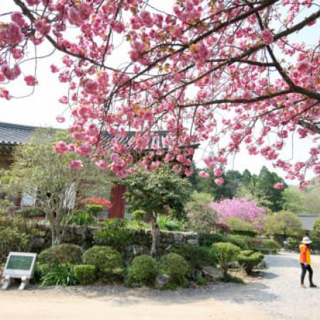 Chiêm ngưỡng 33 ngôi chùa cổ đẹp nhất Hàn Quốc - Ảnh 21.
