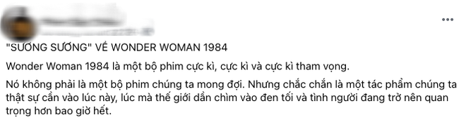 Wonder Woman 1984 bị netizen so sánh với Hương Giang vì hay nói đạo lý, người khen kẻ chê lẫn lộn - Ảnh 4.