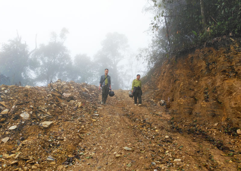 Bắc Kạn: Khởi tố hình sự vụ phá rừng trái phép tại huyện Ngân Sơn - Ảnh 1.
