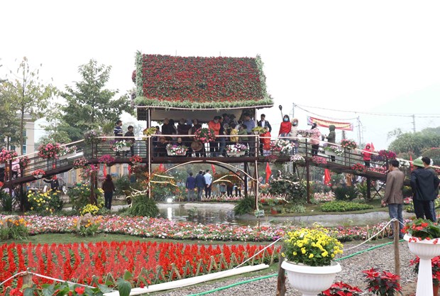 Khai mạc lễ hội hoa Xuân tại vùng trồng hoa lớn nhất miền Bắc - Ảnh 2.