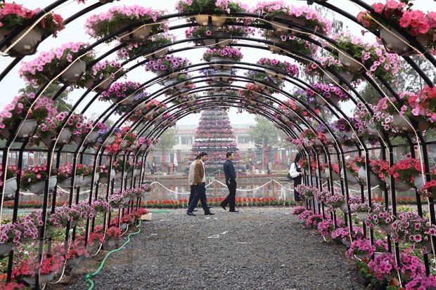 Khai mạc lễ hội hoa Xuân tại vùng trồng hoa lớn nhất miền Bắc - Ảnh 1.