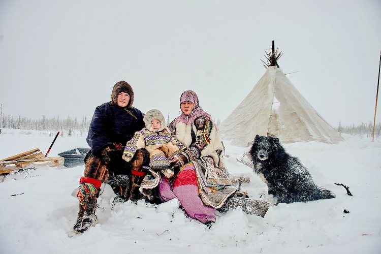 Yamal – Vùng đất của người Nenets, những người chăn tuần lộc du mục cuối cùng trên thế giới - Ảnh 1.