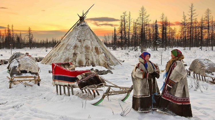 Yamal – Vùng đất của người Nenets, những người chăn tuần lộc du mục cuối cùng trên thế giới - Ảnh 3.