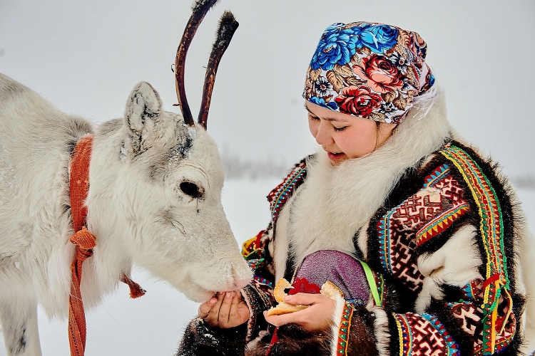 Yamal – Vùng đất của người Nenets, những người chăn tuần lộc du mục cuối cùng trên thế giới - Ảnh 7.