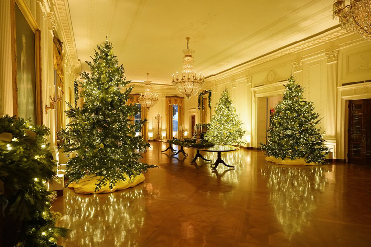 Nhà Trắng trang trí độc đáo mừng Giáng sinh - Ảnh 2.
