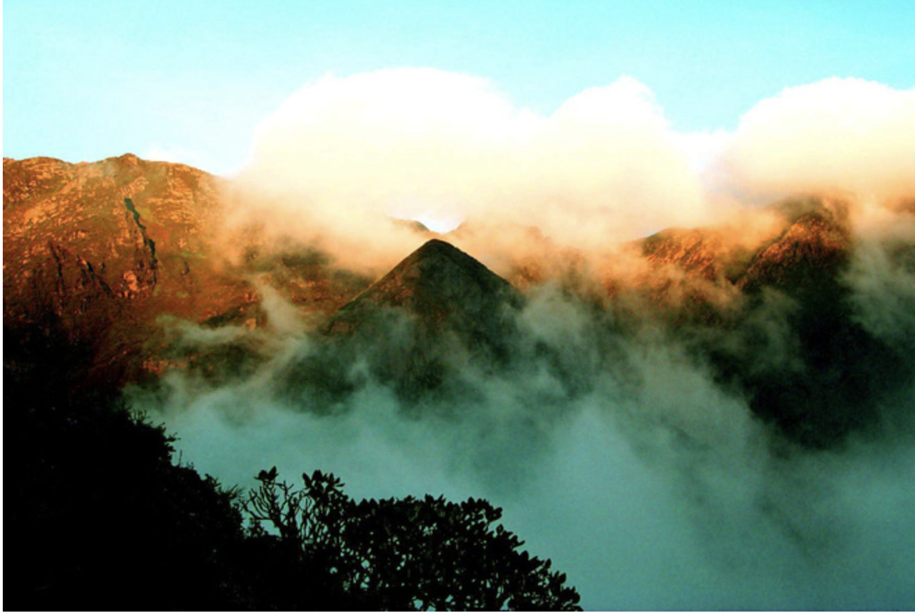 Đi tìm lời giải về thung lũng Tre đen, tử địa hút linh hồn tại Trung Quốc - Ảnh 1.
