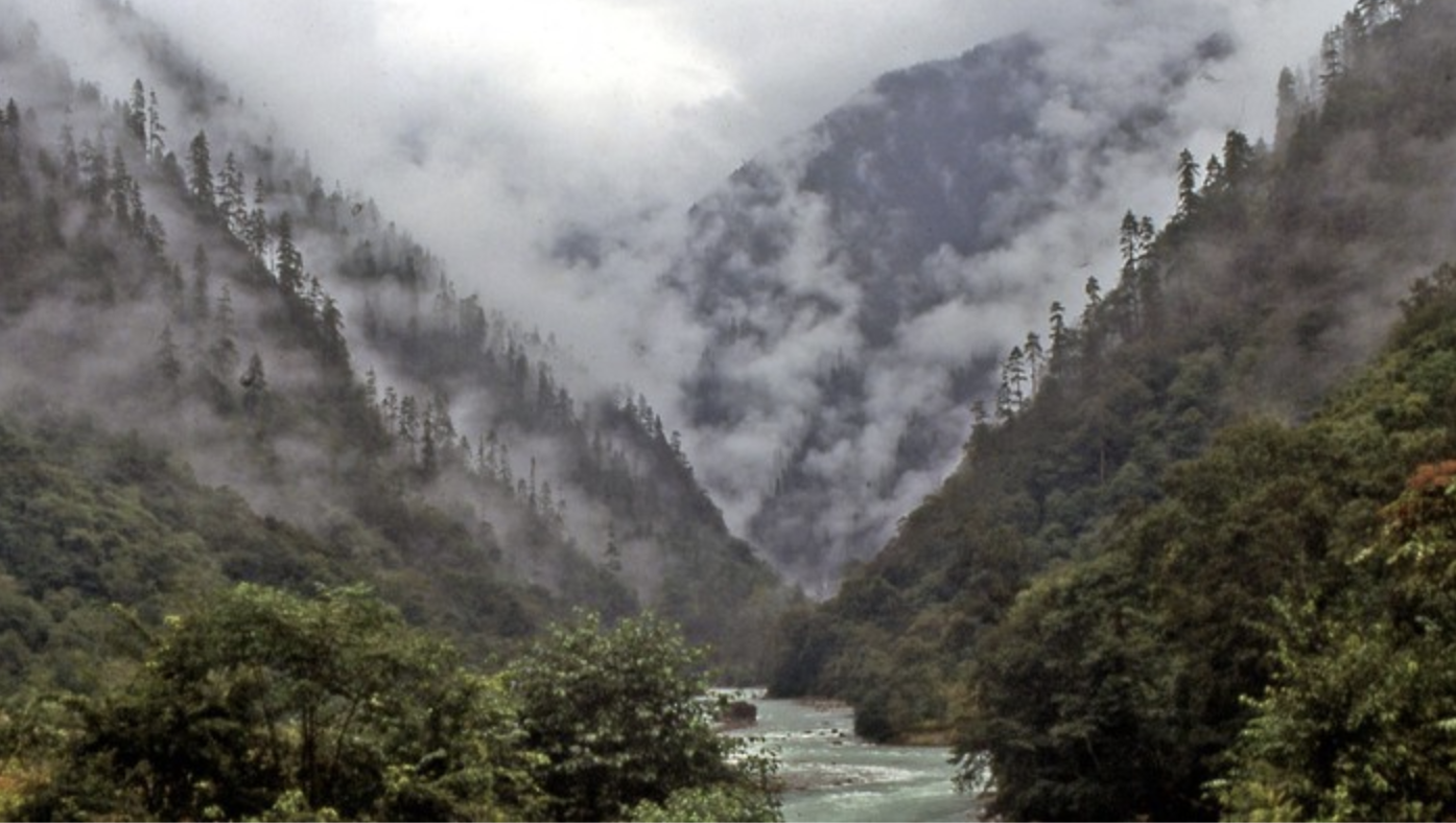 Đi tìm lời giải về thung lũng Tre đen, tử địa hút linh hồn tại Trung Quốc - Ảnh 2.