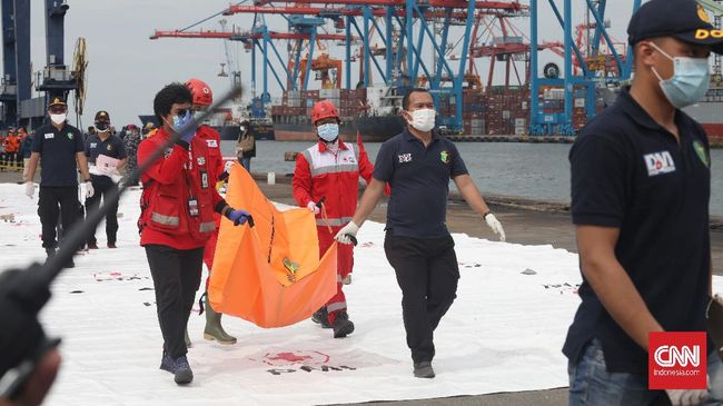Indonesia tìm thấy nhiều bộ phận thi thể nạn nhân trong vụ rơi máy bay - Ảnh 1.