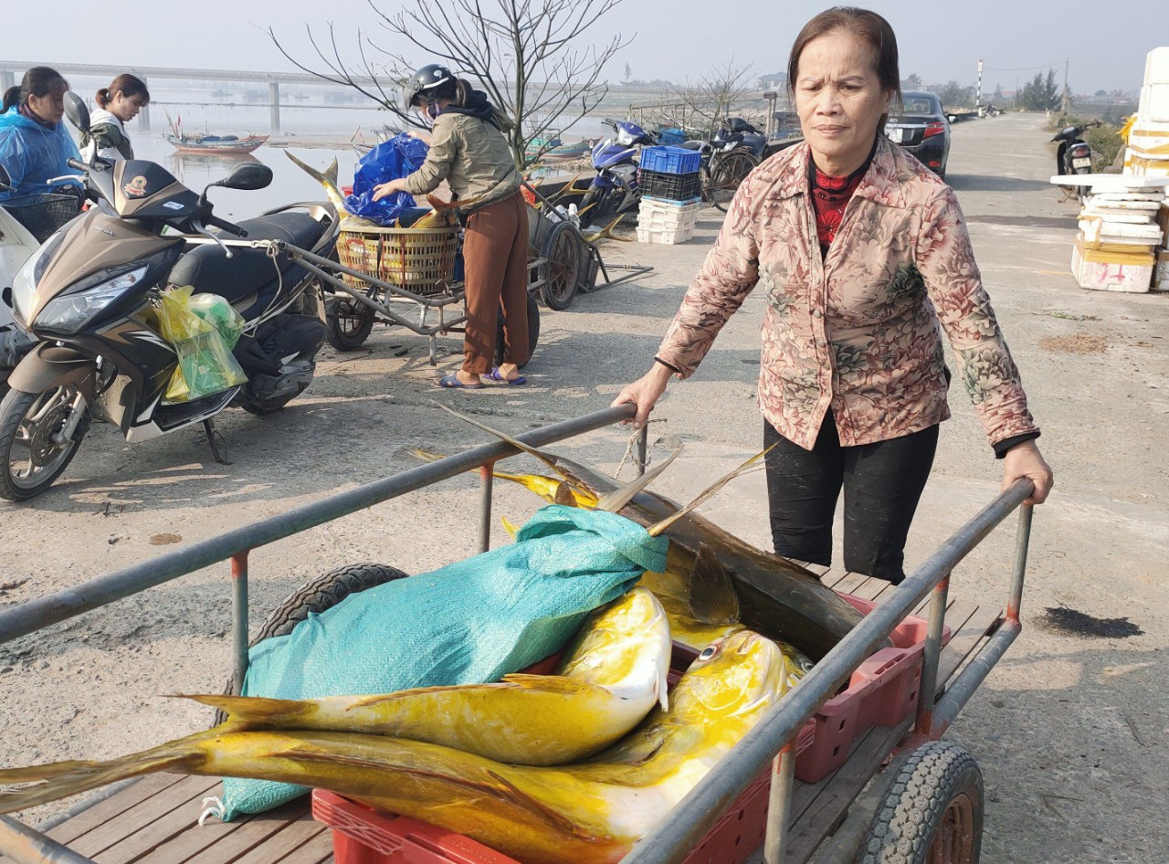 Trúng &quot;mẻ vàng&quot; cuối năm, mỗi ngư dân thu hơn 40 triệu đồng sau một đêm - Ảnh 2.