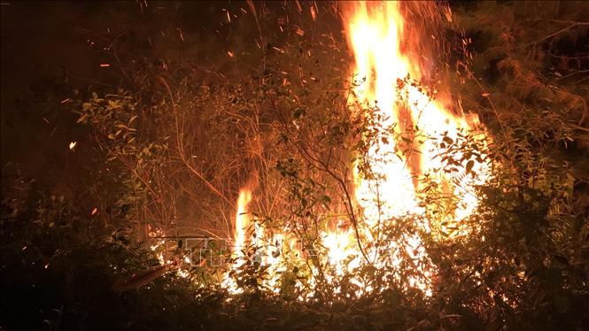 Huy động khoảng 1.100 người dập tắt đám cháy rừng trồng Sóc Sơn (Hà Nội) - Ảnh 1.