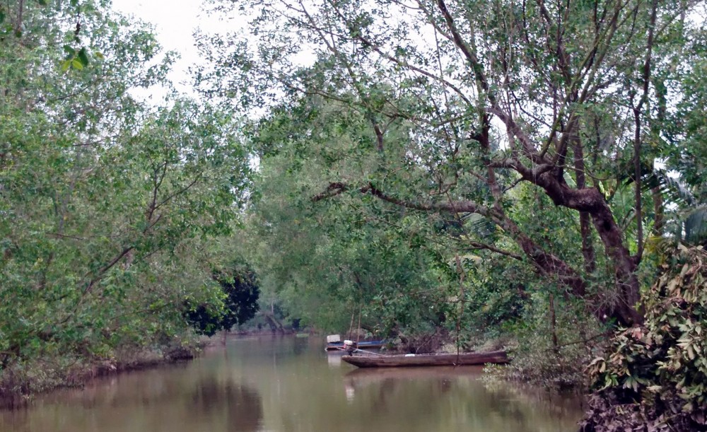 Vĩnh Long: Bồng bềnh sóng nước sông Hậu khám phá miệt vườn Cù lao Mây  - Ảnh 1.