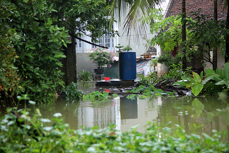 Nước sông Bùi dâng cao khiến cuộc sống hàng trăm hộ dân ở Hà Nội xáo trộn - Ảnh 7.