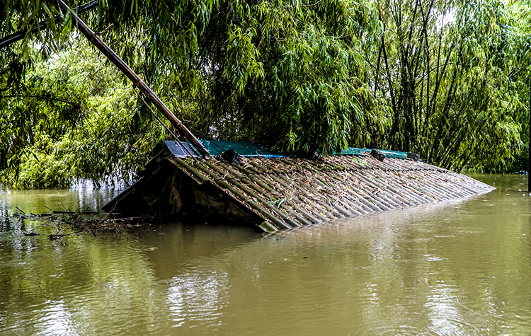 Nước sông Bùi dâng cao khiến cuộc sống hàng trăm hộ dân ở Hà Nội xáo trộn - Ảnh 8.