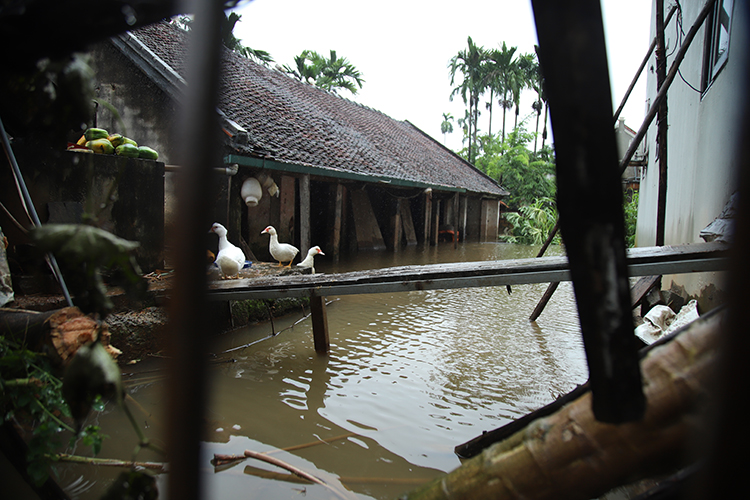 Nước sông Bùi dâng cao khiến cuộc sống hàng trăm hộ dân ở Hà Nội xáo trộn - Ảnh 6.