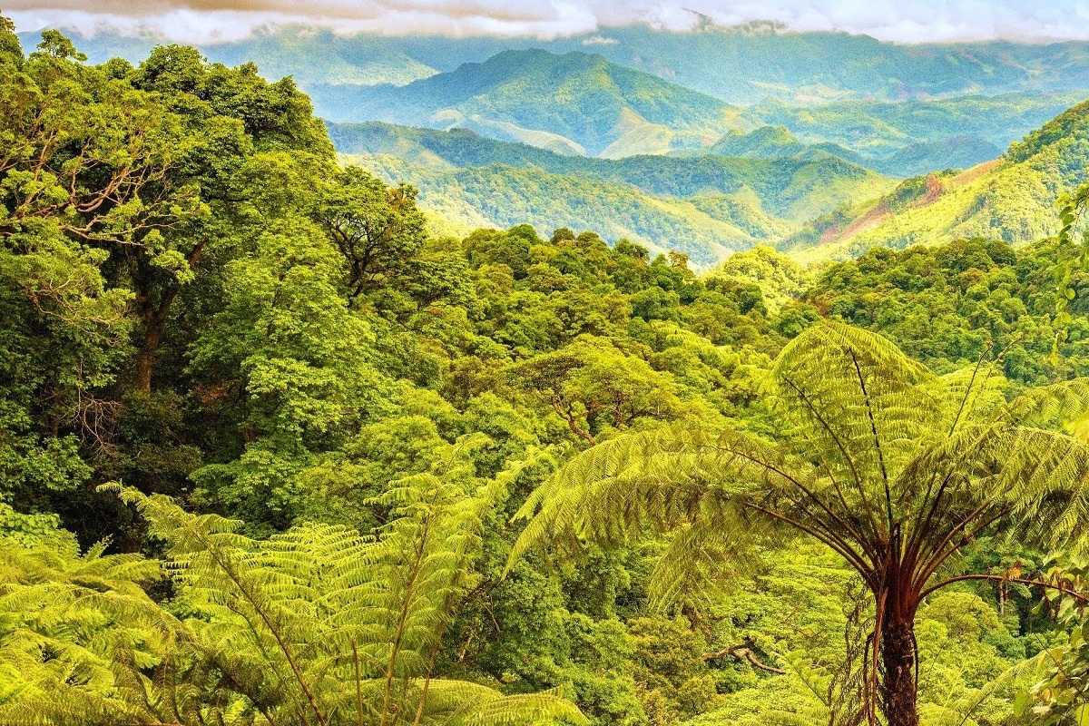 Say đắm với vẻ đẹp thơ mộng giữa núi rừng ở Động Châu - Khe Nước Trong - Ảnh 1.