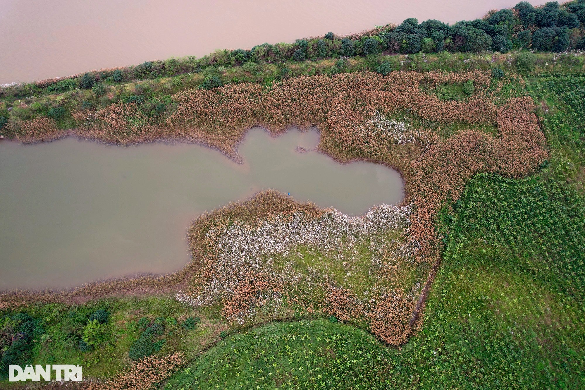 Những bãi bồi sông Hồng hoang sơ vắng dấu chân người ở Hà Nội - Ảnh 12.