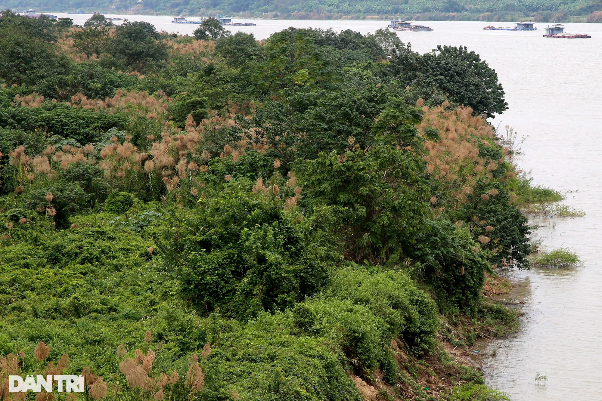 Những bãi bồi sông Hồng hoang sơ vắng dấu chân người ở Hà Nội - Ảnh 14.