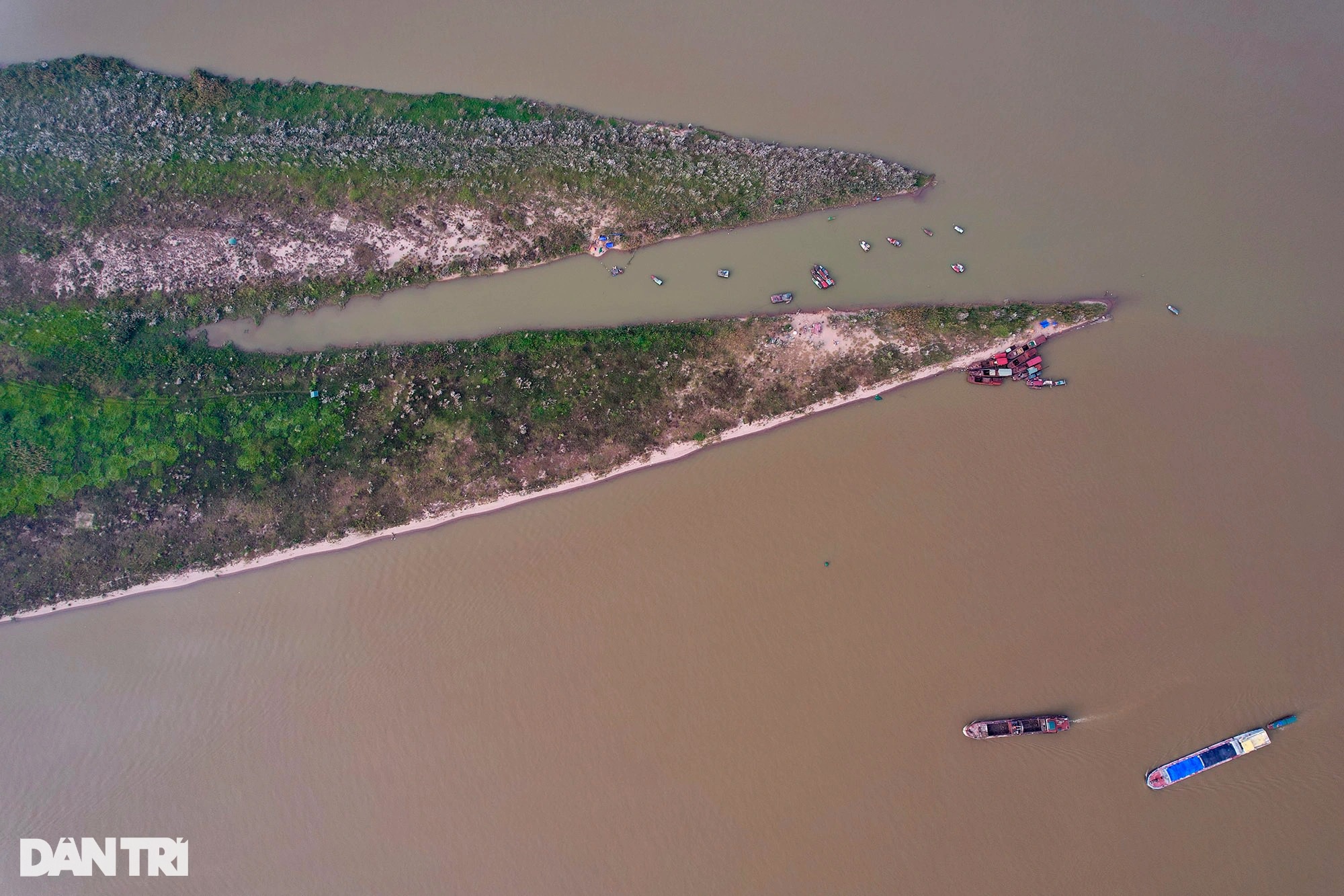 Những bãi bồi sông Hồng hoang sơ vắng dấu chân người ở Hà Nội - Ảnh 15.