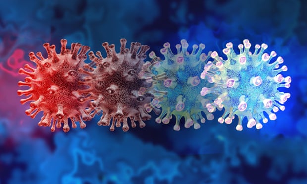 WHO đặt tên cho siêu biến chủng mới của virus SARS-CoV-2 là Omicron - Ảnh 1.