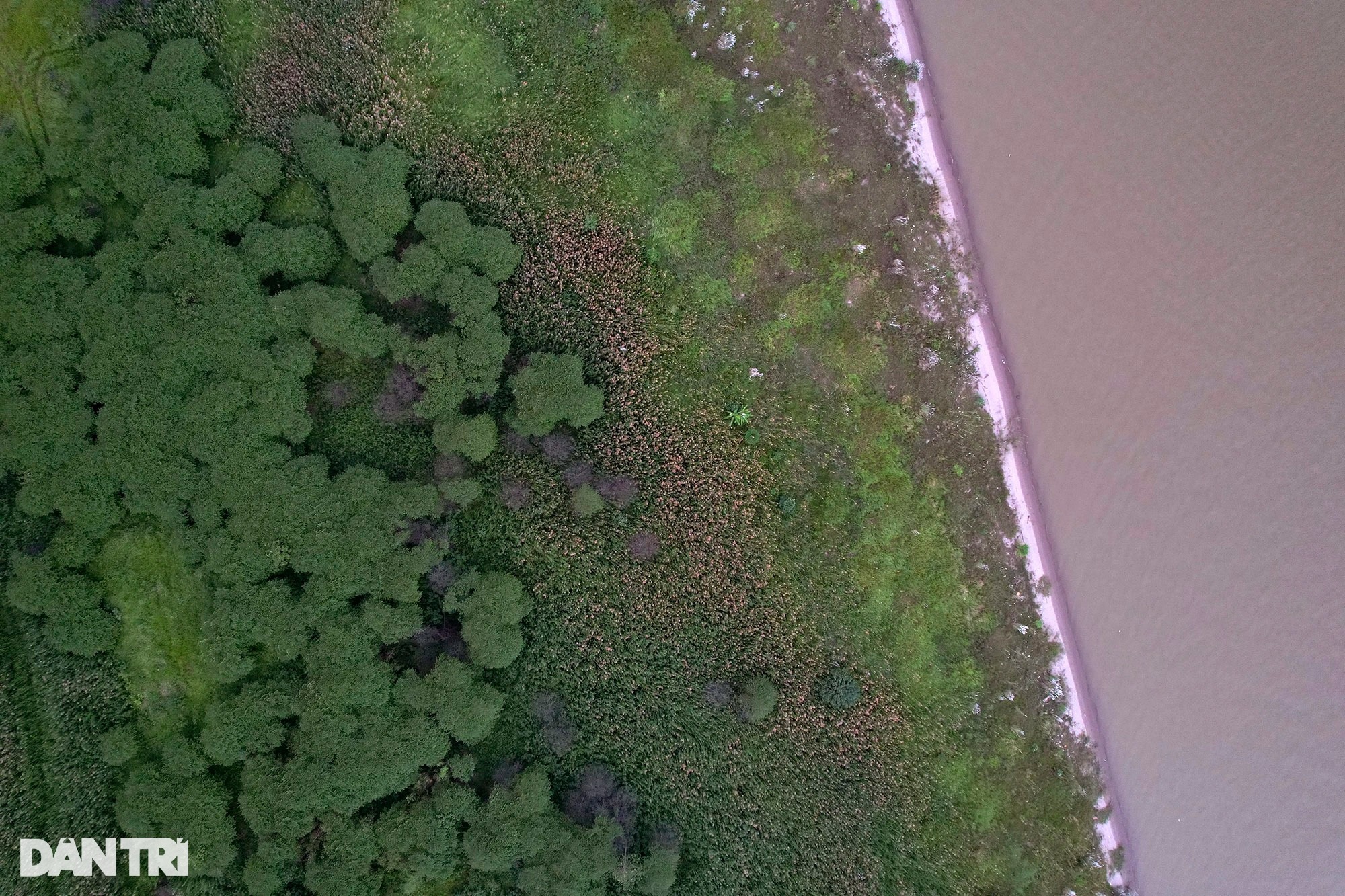 Những bãi bồi sông Hồng hoang sơ vắng dấu chân người ở Hà Nội - Ảnh 8.