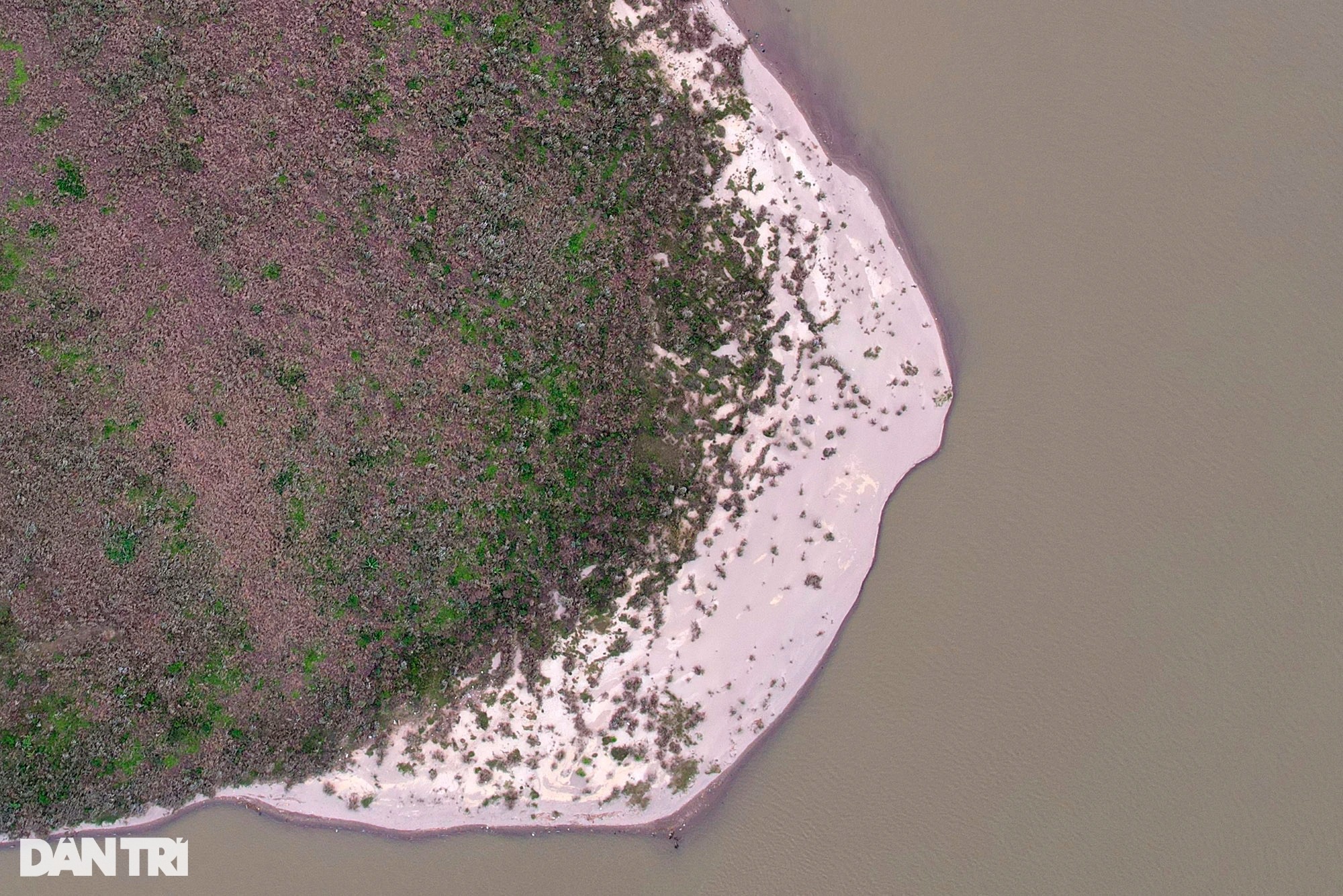 Những bãi bồi sông Hồng hoang sơ vắng dấu chân người ở Hà Nội - Ảnh 9.
