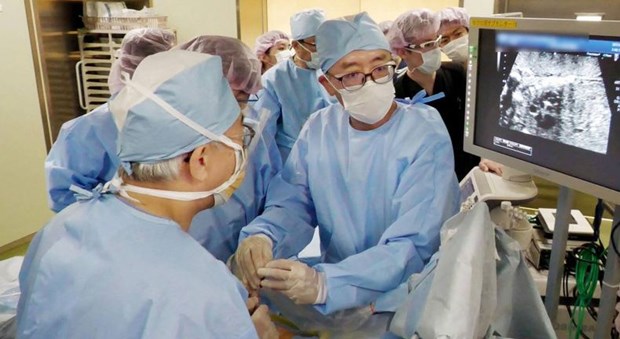 Nhật Bản lần đầu phẫu thuật điều trị thành công cho thai nhi trong bụng mẹ - Ảnh 1.