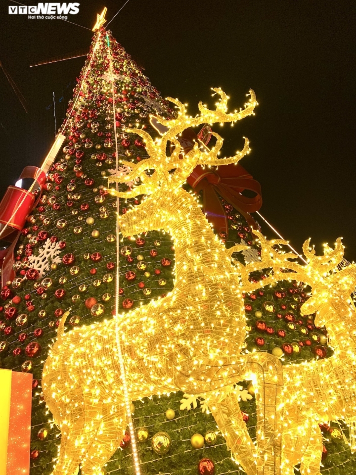 Trung tâm thương mại Hà Nội trang hoàng rực rỡ đón Giáng Sinh - Ảnh 6.