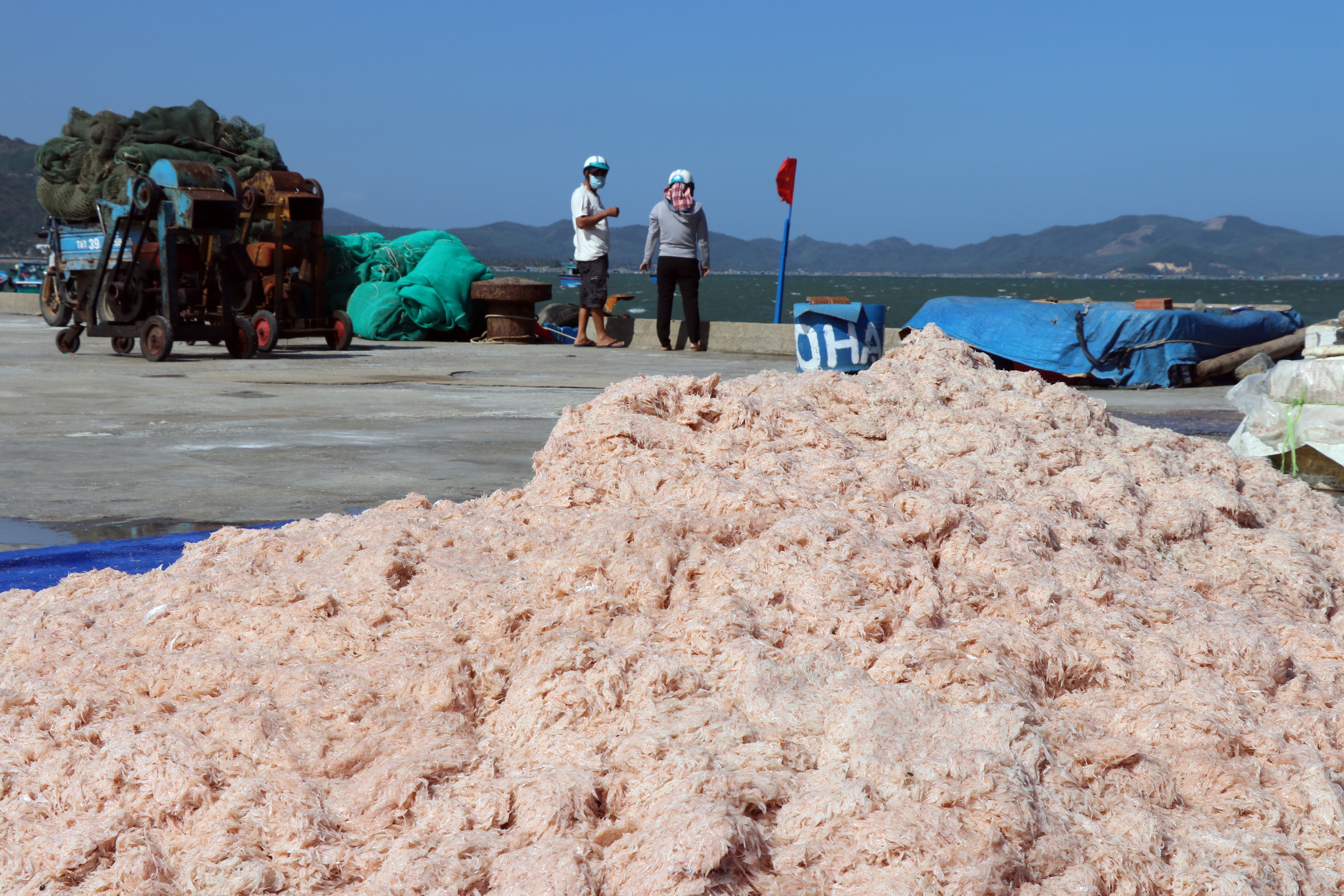 Phú Yên: Trúng ruốc biển, ngư dân bỏ túi tiền triệu mỗi ngày - Ảnh 7.