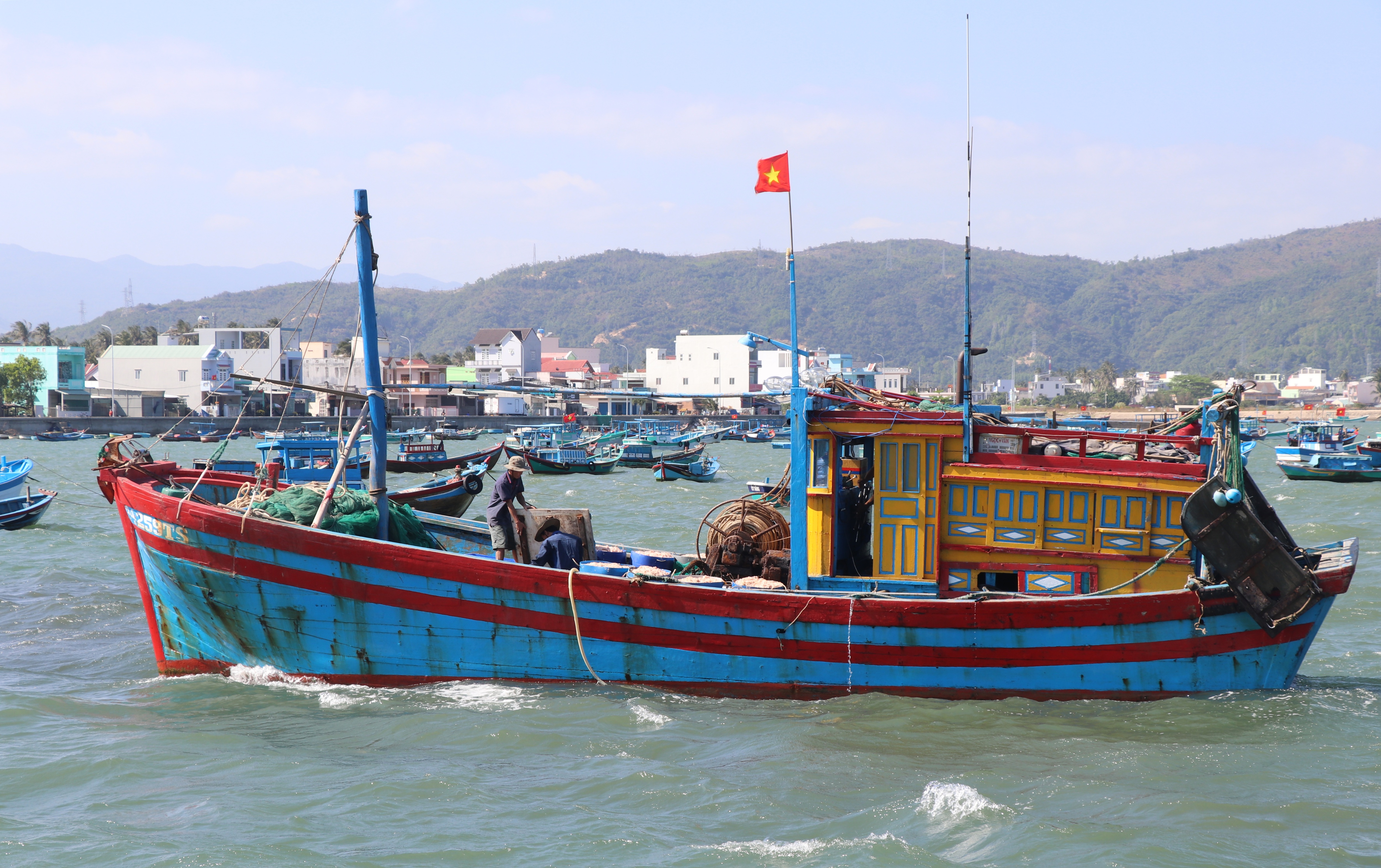 Phú Yên: Trúng ruốc biển, ngư dân bỏ túi tiền triệu mỗi ngày - Ảnh 1.