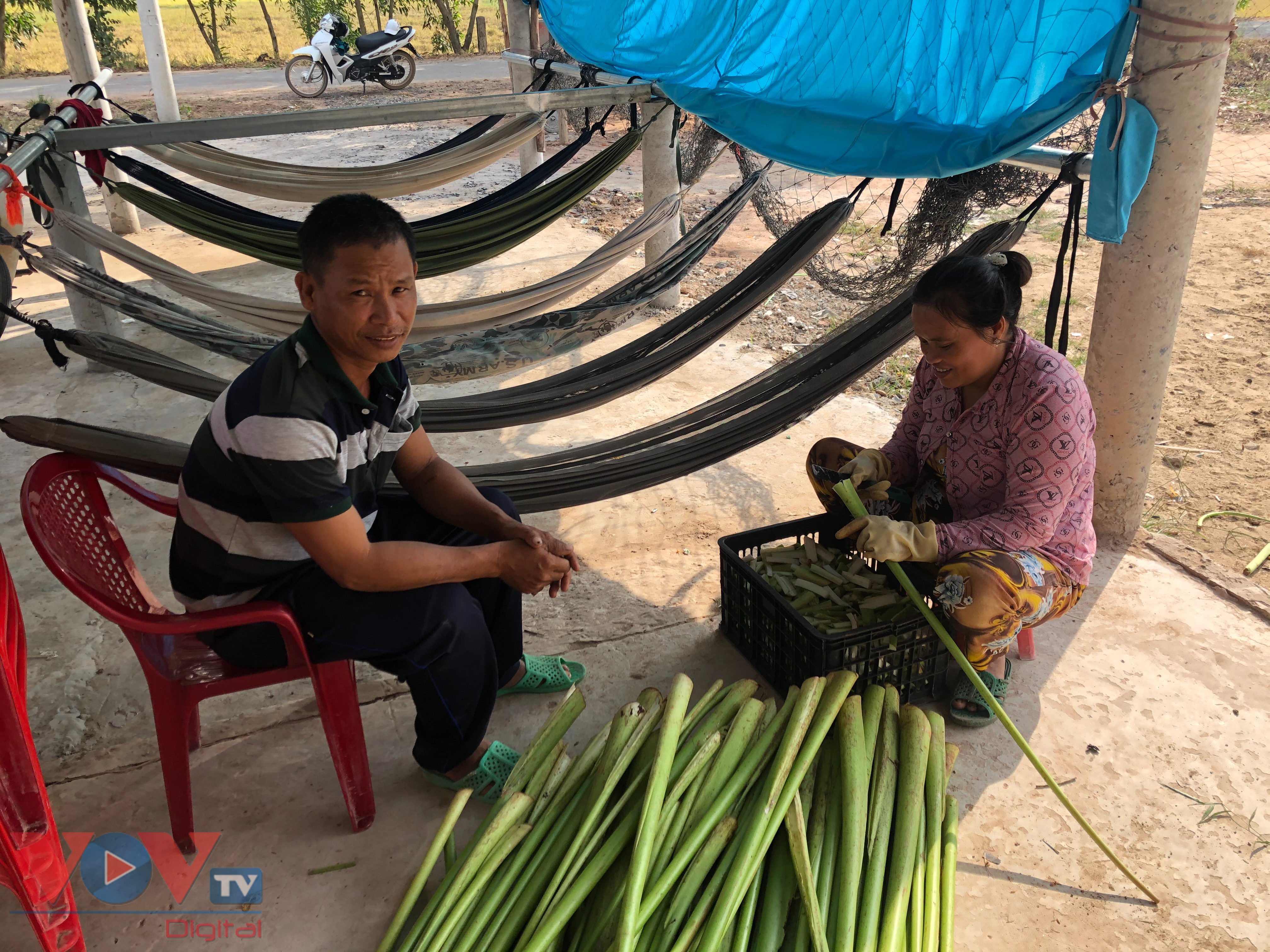 Anh Nguyễn Văn Phường và vợ làm dưa cho cả xóm ăn tết.jpg