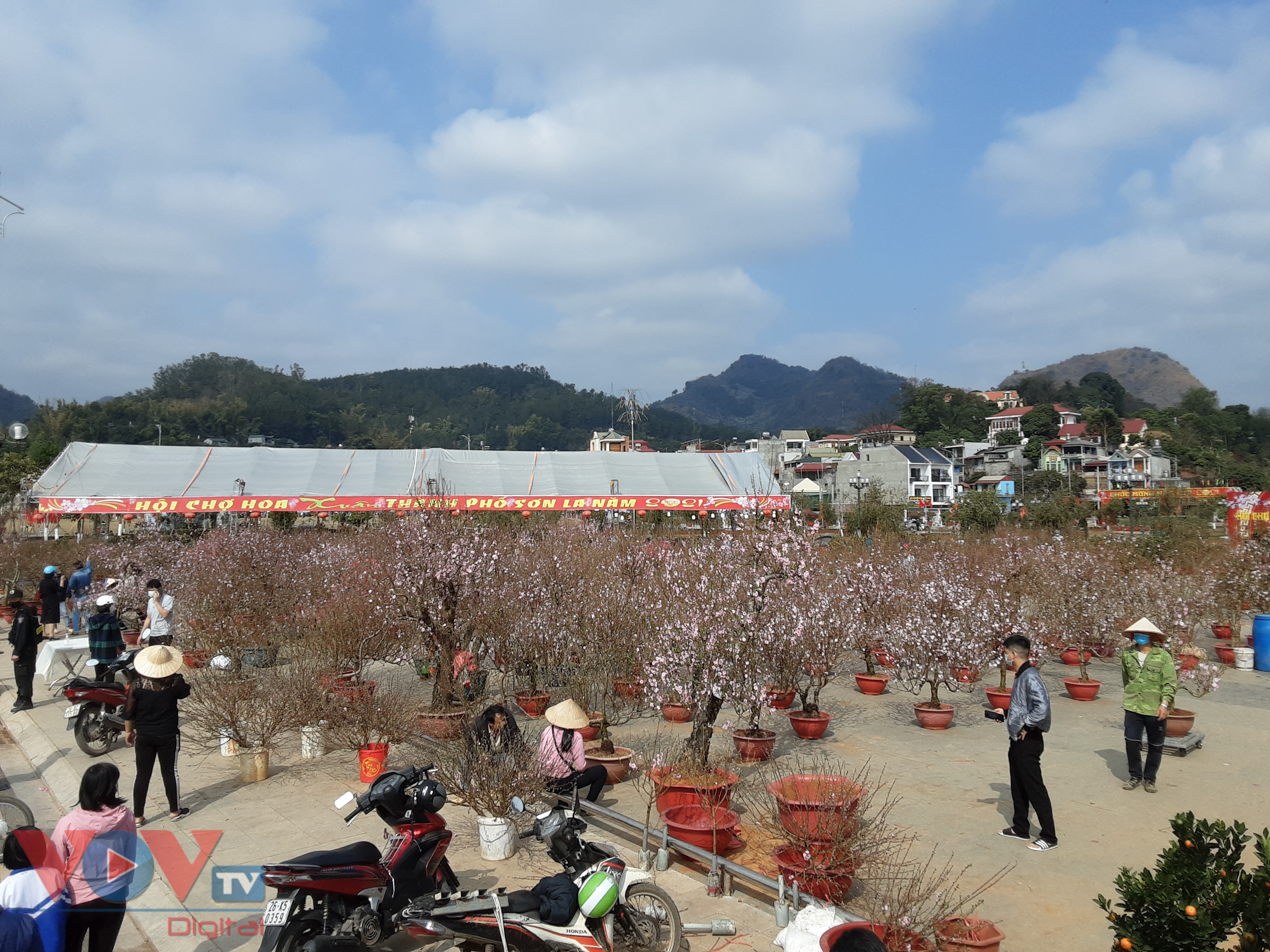 Để kích cầu thị trường tiêu dùng, năm nay thành phố Sơn La tiếp tục tổ chức Hội chợ Hoa xuân.jpg