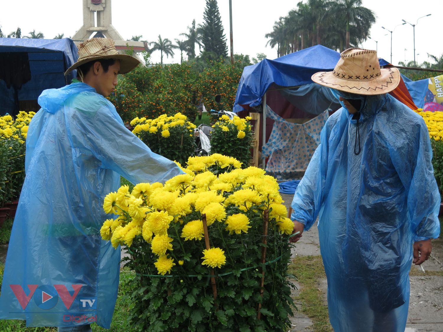 Đà Nẵng: Trời mưa, chợ hoa Tết càng đìu hiu - Ảnh 3.