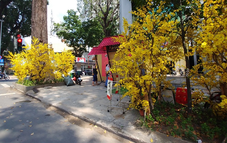 Đường phố TP Hồ Chí Minh vắng hoe trong ngày 28 tháng Chạp - Ảnh 9.