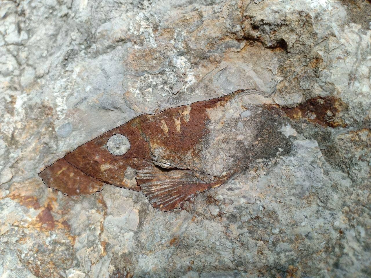 Campuchia phát hiện xương hóa thạch từ thời kỷ nguyên khủng long - Ảnh 3.