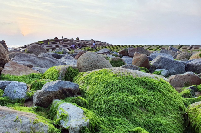 Du khách đổ xô check-in bãi đá rêu xanh đẹp nhất Phú Yên - Ảnh 7.