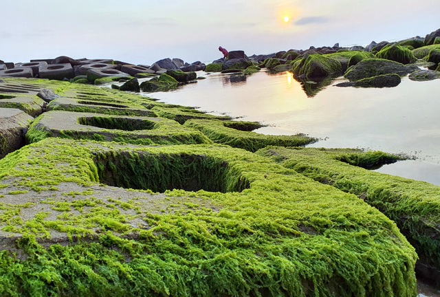 Du khách đổ xô check-in bãi đá rêu xanh đẹp nhất Phú Yên - Ảnh 5.